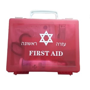 First Aid Kit for the Car and Home- Advanced