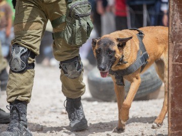 K9 unit videos